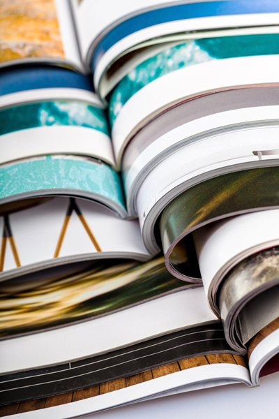 Revistas